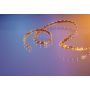 ROULEAU FLEXLED IP 24V, 15W, 3000K, 3m, 60LED/m, IP55