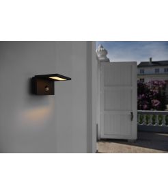 ANGOLUX S, applique avec detecteur, anthracite, LED 9,8W 3000K, IP44