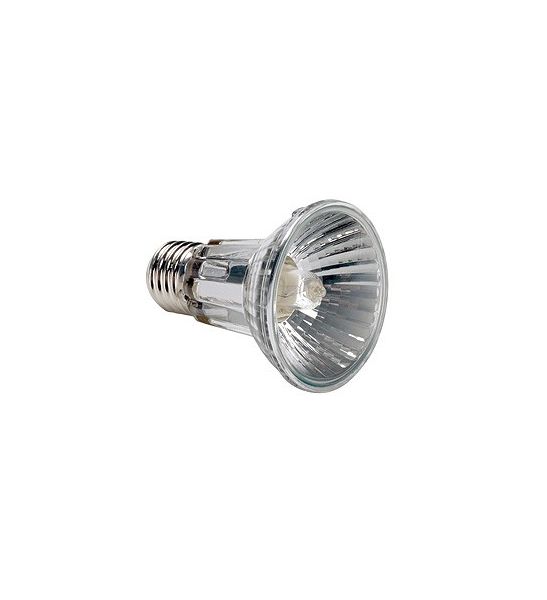 Lampe E27 24° 230v - 50 w