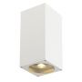 BIG THEO UP/DOWN OUT ES111, APPLIQUE CARREE BLANCHE, GU10 , max. 2x75W