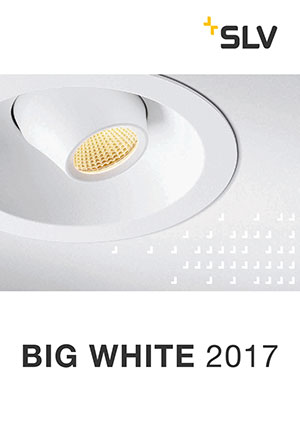 big-white-2017.jpg